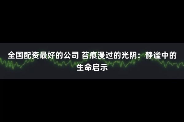 全国配资最好的公司 苔痕漫过的光阴：静谧中的生命启示